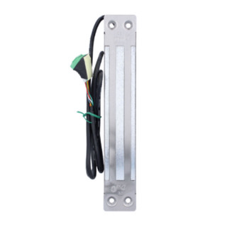 I300ER-Ventouse inox encastrée 300kg 12/24VDC + signal