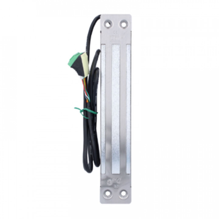 I300ER-Ventouse inox encastrée 300kg 12/24VDC + signal