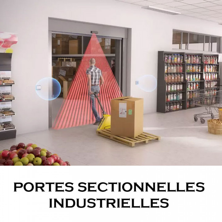 CONDOR XL -Détecteur de mouvement + présence - Haut 2 m à 3,5 m - IP65