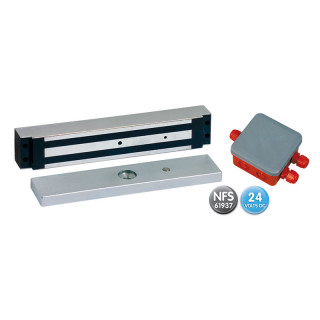 EF30035ENCCTC CA-Ventouse à encastrer 300daN 35.5mm 12/24VCC avec contact d'état