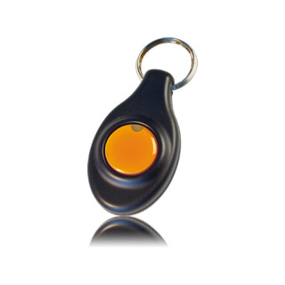 BA-CL - badge actif 868mhz au format porte-clé