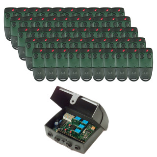 PACK S449 COLLECTIF - 50 télécommandes TXC4492P0 2 canaux + 1 récepteur RCQ449ND00