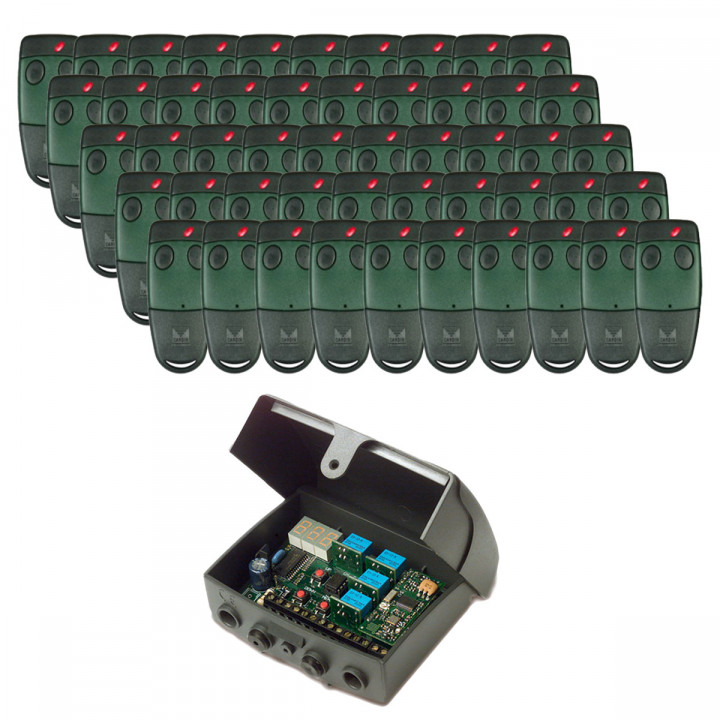 PACK S449 COLLECTIF - 50 télécommandes TXC4492P0 2 canaux + 1 récepteur RCQ449ND00